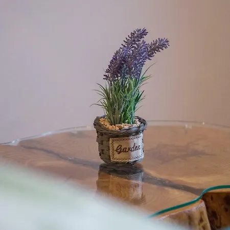 Henna Apartament *