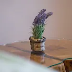Henna Apartament *